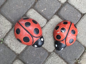 Stone Ladybugs