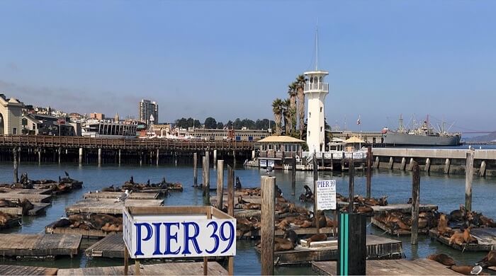 Pier 30 and Sea Lions pixabay skeeze