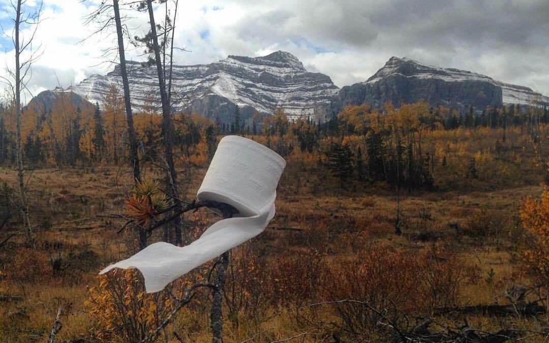 Toilet Paper and Kananaskis, Alberta, Canada