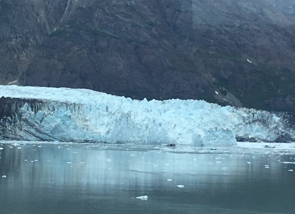 Glacier Bay Nat Pk & Preserve - View from Observation Deck